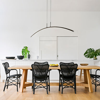 Curved Pendant Lamp
